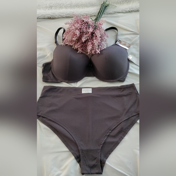 Danskin Other - NWT-Danskin Intimate 40C/2X